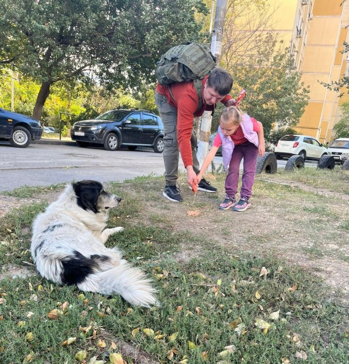 img (4)